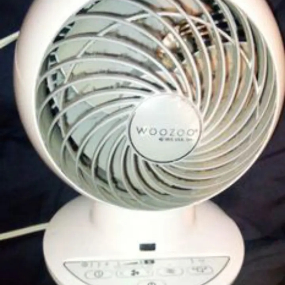 WooZoo Fan